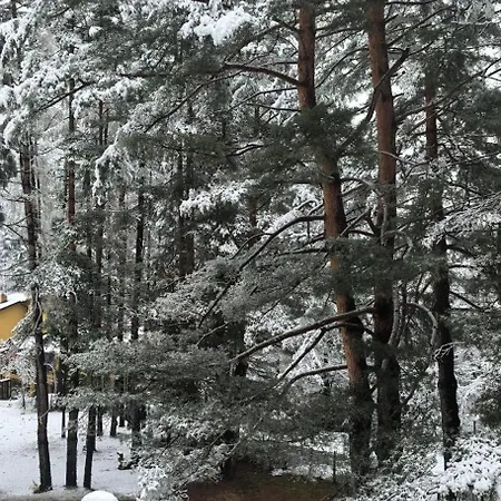 вила еделвайс