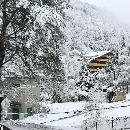 вила еделвайс *